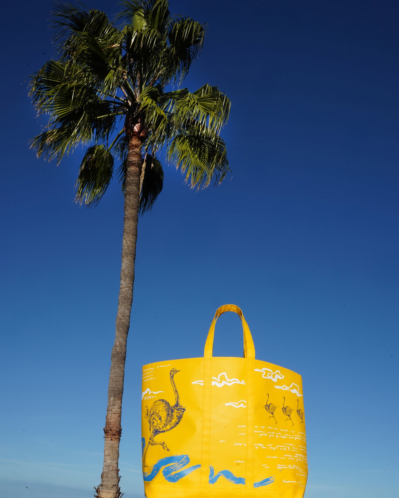 13 The Flight of Fancy Carryall