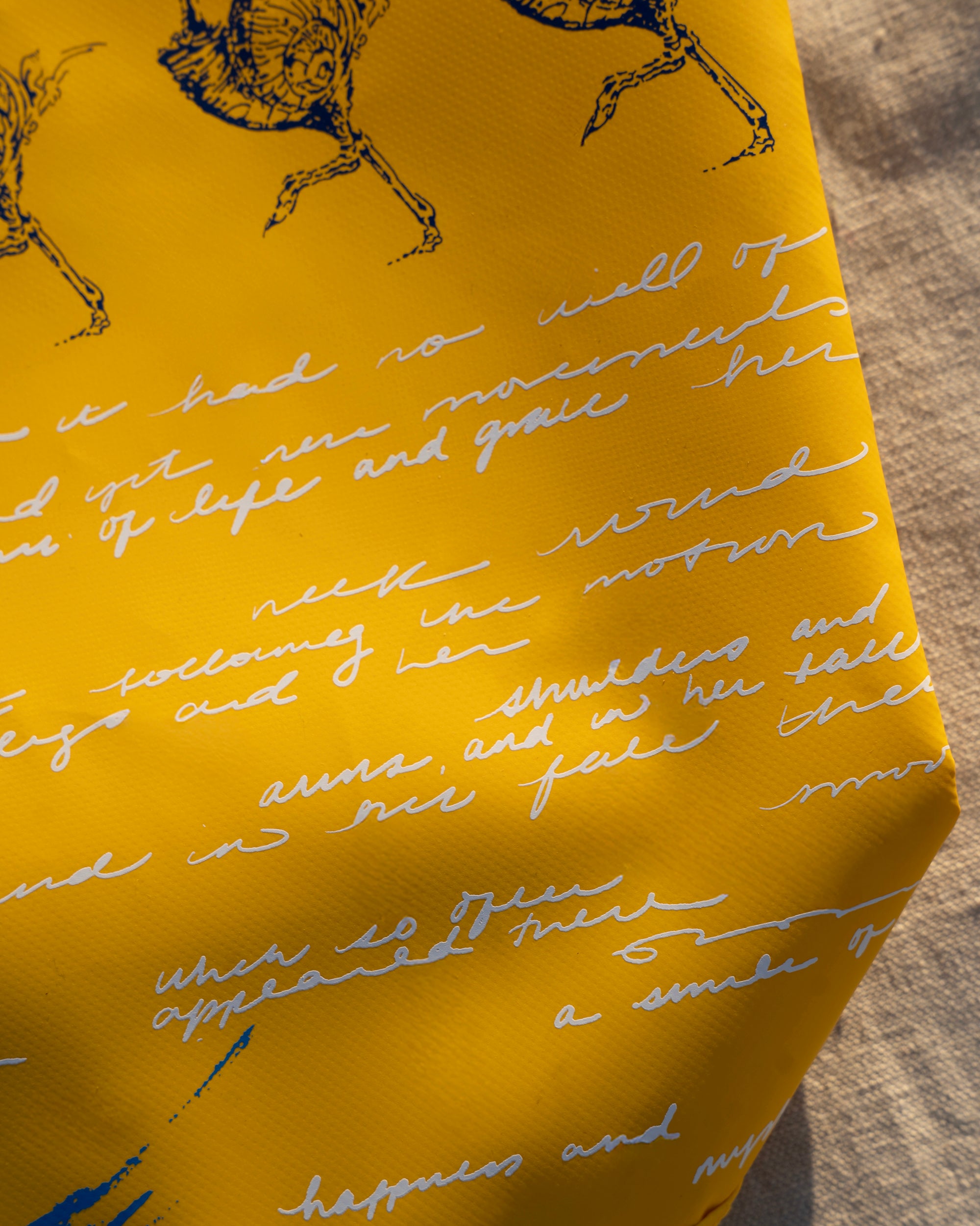 13 The Flight of Fancy Carryall